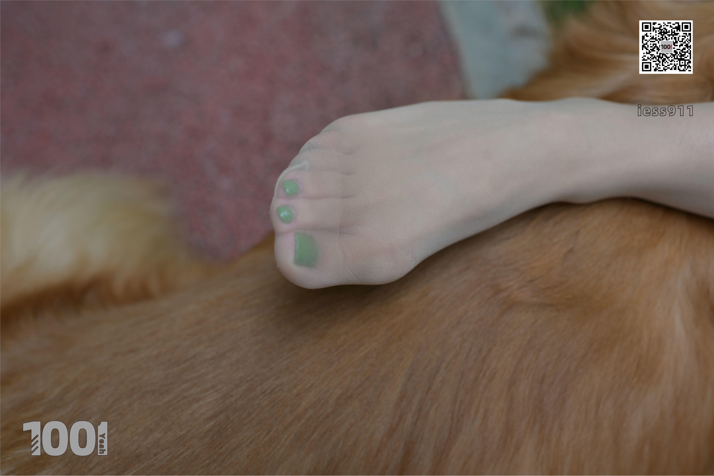 IESS异思趣向 一千零一夜 模特：真真《家有萌宠1》